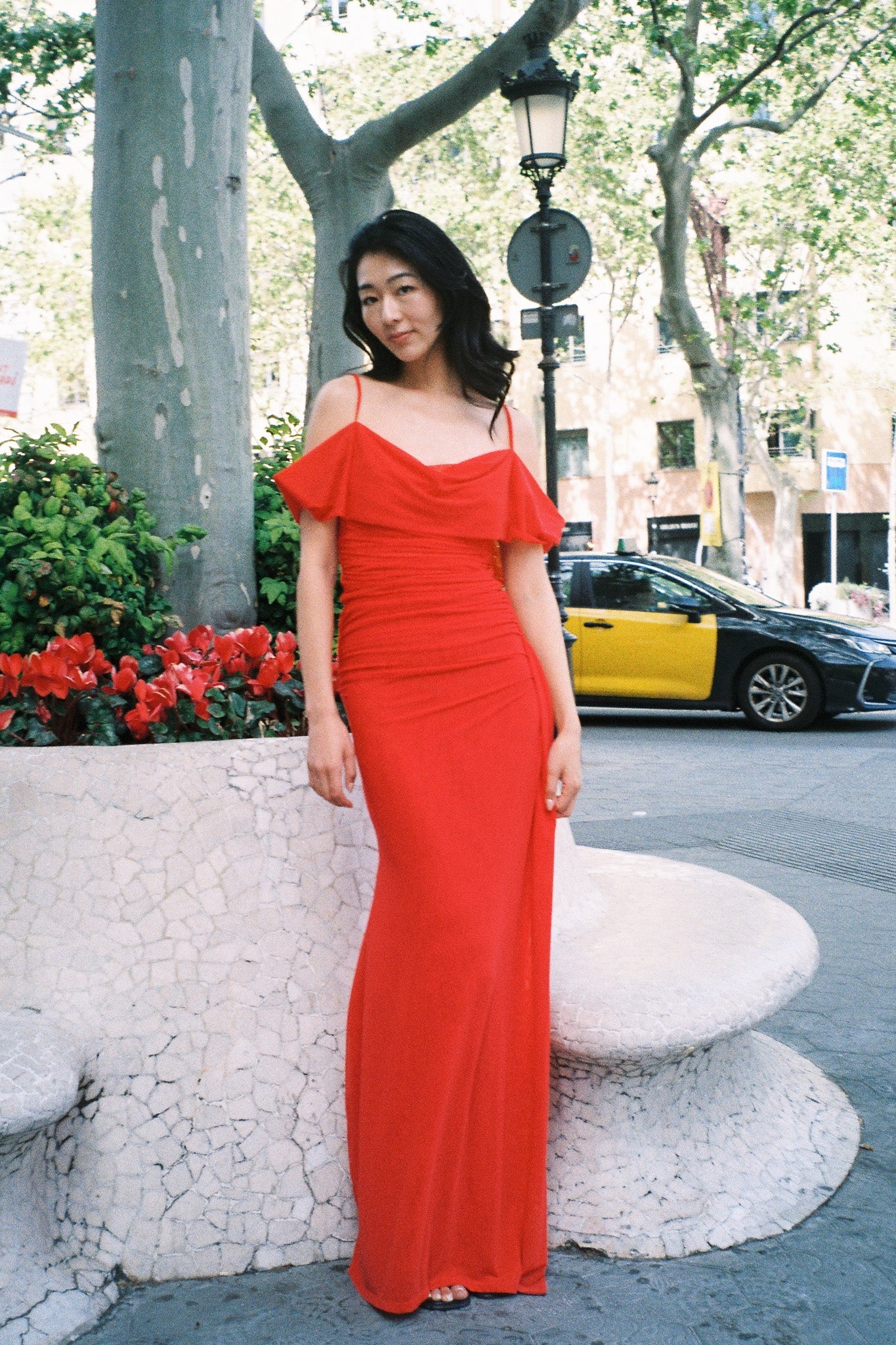 The Raphaella Dress