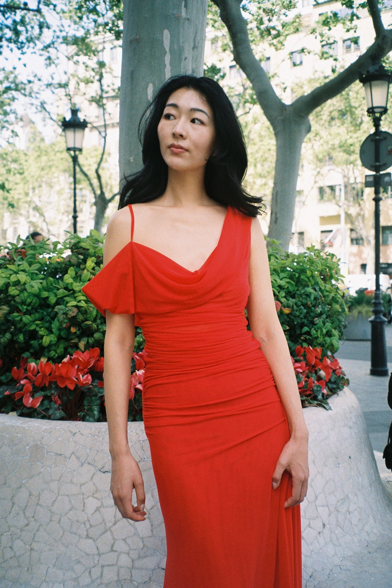 The Raphaella Dress